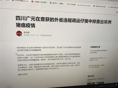 猪瘟最新爆料新闻报道,揭秘病毒传播途径与防控措施